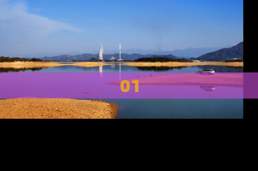 01