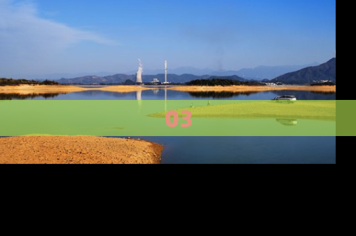 03
