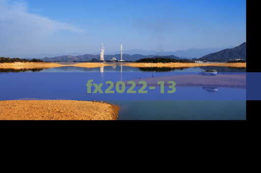 fx2022-13