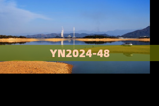 YN2024-48