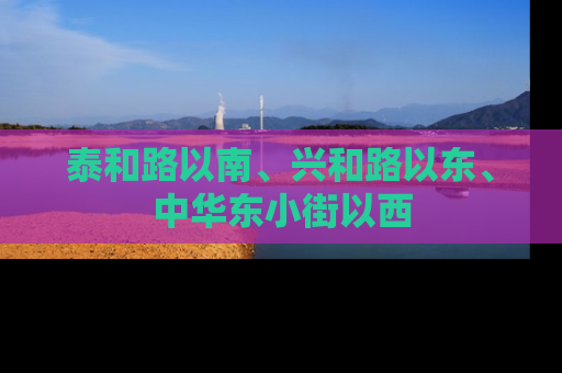 泰和路以南、兴和路以东、中华东小街以西