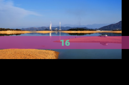 16