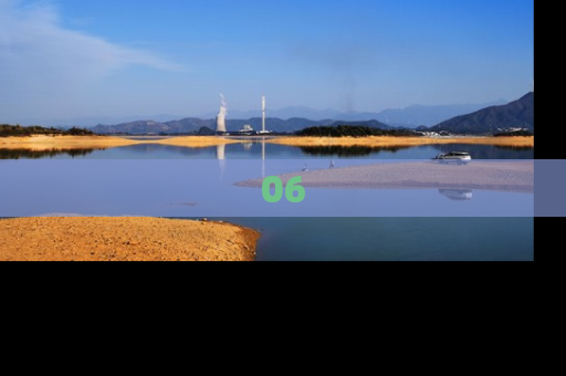06