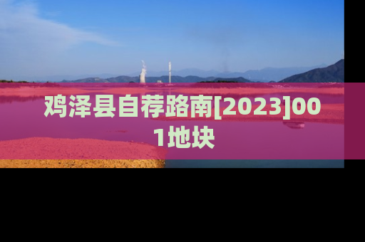 鸡泽县自荐路南[2023]001地块