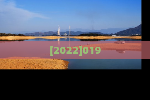 [2022]019