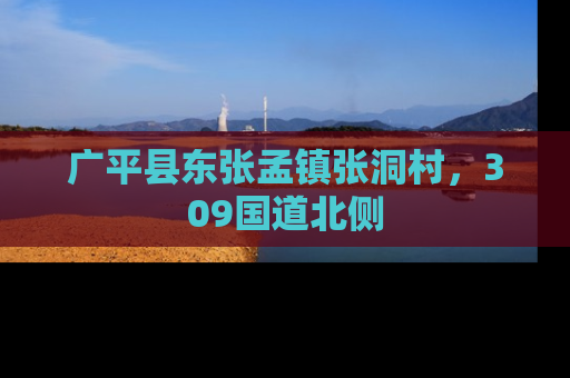 广平县东张孟镇张洞村，309国道北侧