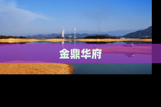 金鼎华府