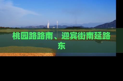 桃园路路南、迎宾街南延路东
