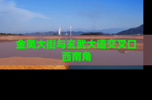 金凤大街与玄武大道交叉口西南角