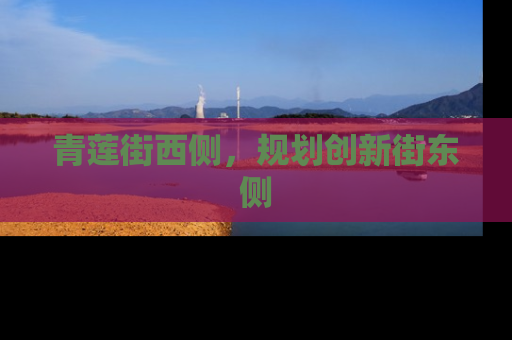 青莲街西侧，规划创新街东侧