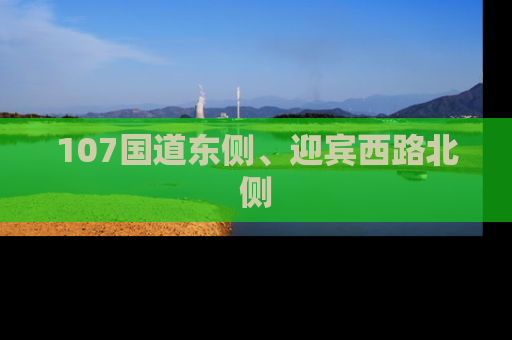 107国道东侧、迎宾西路北侧