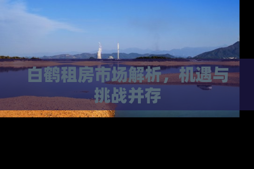 白鹤租房市场解析，机遇与挑战并存