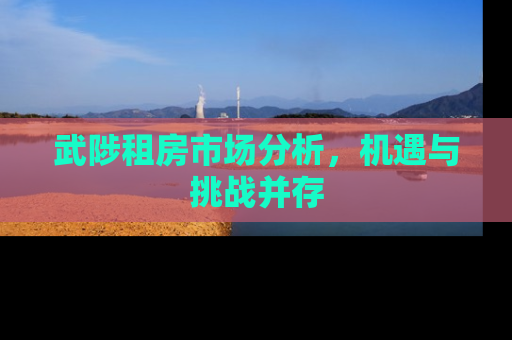 武陟租房市场分析，机遇与挑战并存