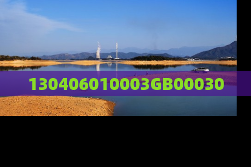 130406010003GB00030