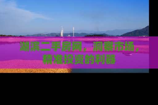 湖滨二手房网，洞察市场，精准投资的利器