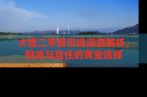 大悟二手房市场深度解析，投资与自住的黄金选择