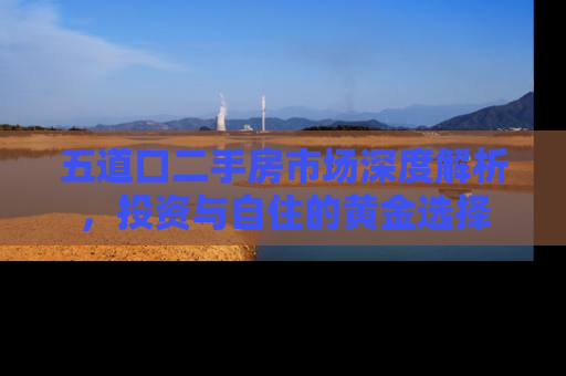 五道口二手房市场深度解析，投资与自住的黄金选择