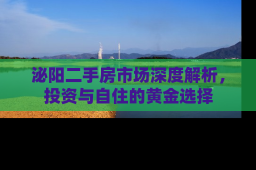 泌阳二手房市场深度解析，投资与自住的黄金选择
