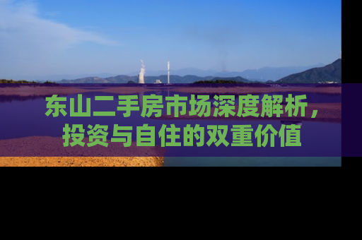 东山二手房市场深度解析，投资与自住的双重价值