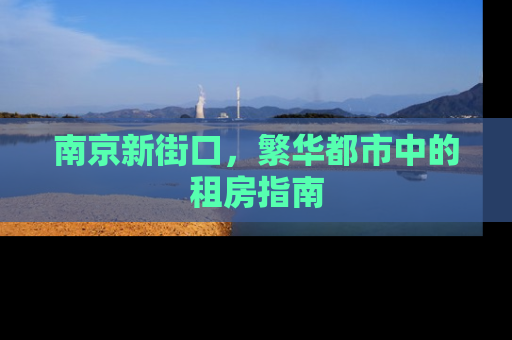 南京新街口，繁华都市中的租房指南