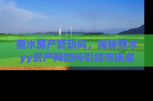 丽水房产新动向，揭秘丽水yy房产网如何引领市场潮流