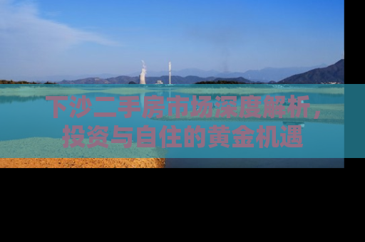 下沙二手房市场深度解析，投资与自住的黄金机遇