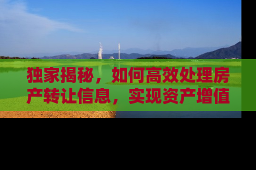 独家揭秘，如何高效处理房产转让信息，实现资产增值
