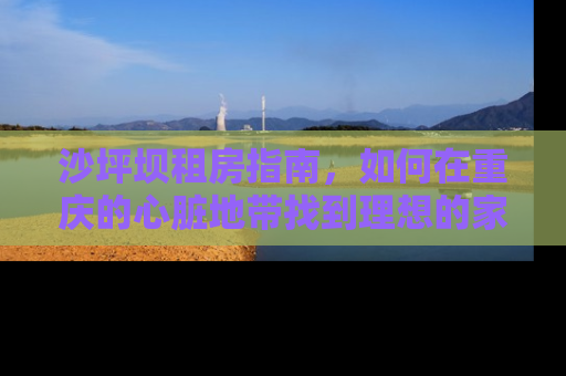 沙坪坝租房指南，如何在重庆的心脏地带找到理想的家