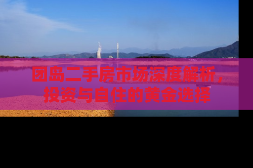 团岛二手房市场深度解析，投资与自住的黄金选择