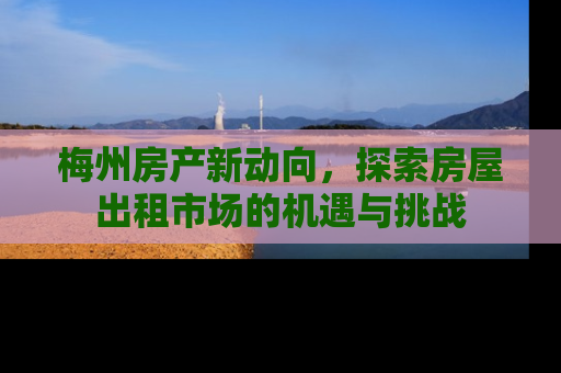 梅州房产新动向，探索房屋出租市场的机遇与挑战
