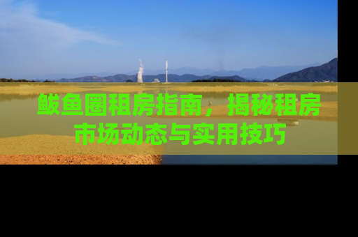 鲅鱼圈租房指南，揭秘租房市场动态与实用技巧