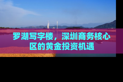 罗湖写字楼，深圳商务核心区的黄金投资机遇