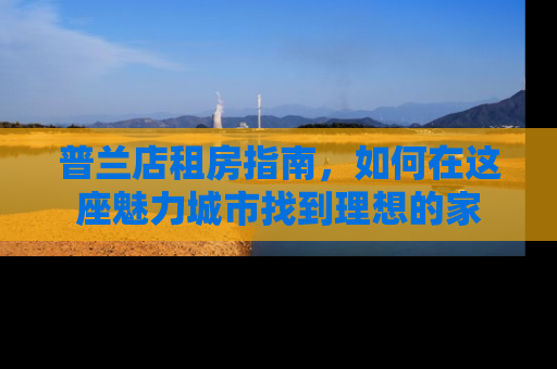 普兰店租房指南，如何在这座魅力城市找到理想的家