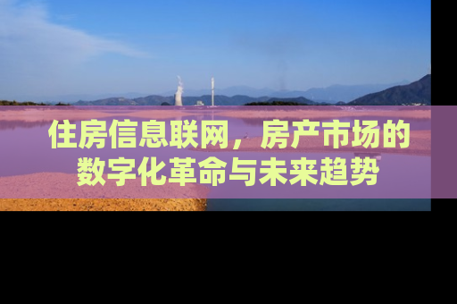 住房信息联网，房产市场的数字化革命与未来趋势
