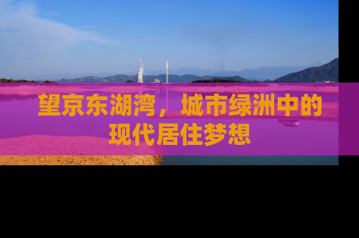 望京东湖湾，城市绿洲中的现代居住梦想