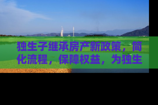 独生子继承房产新政策，简化流程，保障权益，为独生子女家庭带来福音
