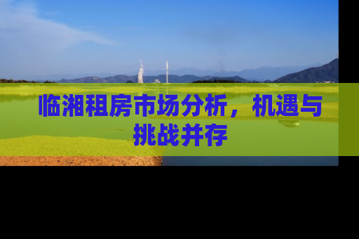 临湘租房市场分析，机遇与挑战并存