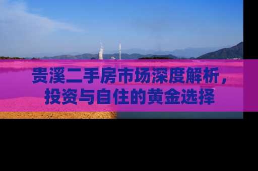 贵溪二手房市场深度解析，投资与自住的黄金选择
