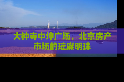 大钟寺中坤广场，北京房产市场的璀璨明珠