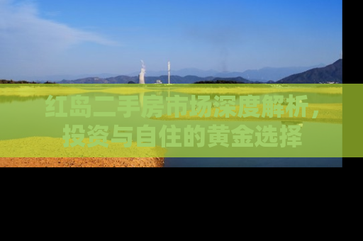 红岛二手房市场深度解析，投资与自住的黄金选择