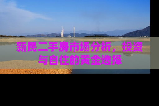 新民二手房市场分析，投资与自住的黄金选择