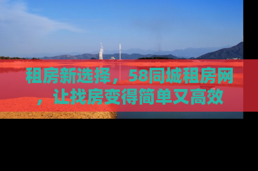 租房新选择，58同城租房网，让找房变得简单又高效