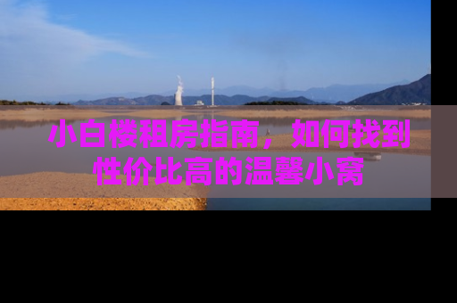 小白楼租房指南，如何找到性价比高的温馨小窝