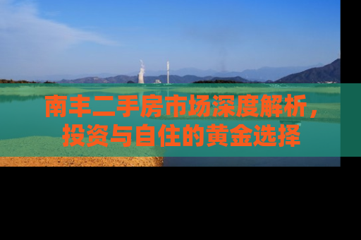 南丰二手房市场深度解析，投资与自住的黄金选择