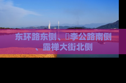 东环路东侧、洺李公路南侧、露禅大街北侧