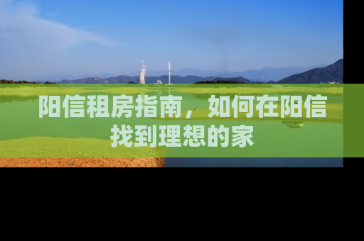 阳信租房指南，如何在阳信找到理想的家