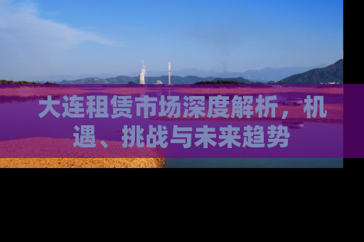 大连租赁市场深度解析，机遇、挑战与未来趋势