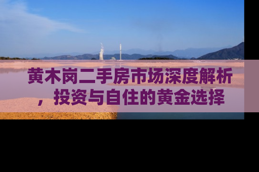 黄木岗二手房市场深度解析，投资与自住的黄金选择