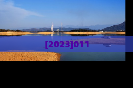 [2023]011