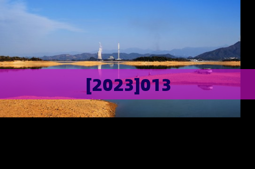 [2023]013